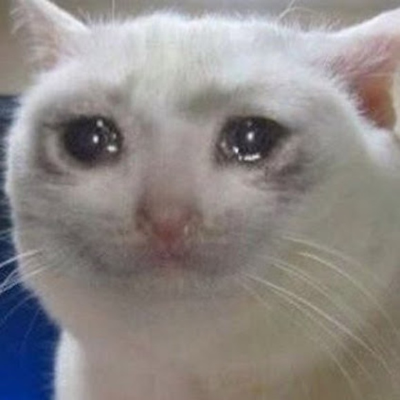 Meet your Posher, Renee :d - Picture 1 of 1